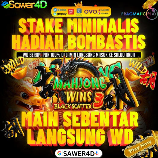 SAWER4D