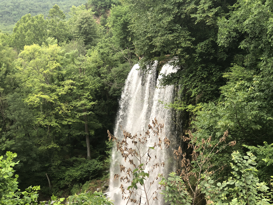 59FA46D5-C2D5-4513-88E6-E3275C31AE87