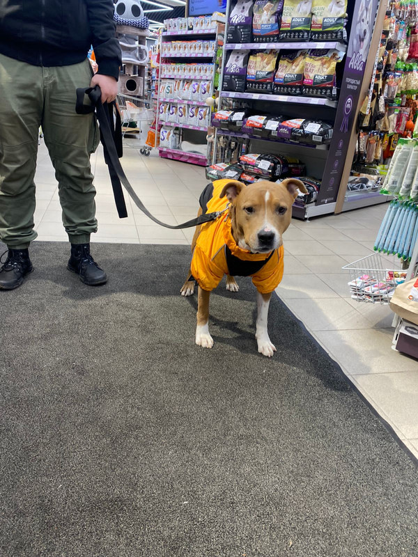 80FFFCDF-D5E4-4378-BBD9-BAD6A44632C0