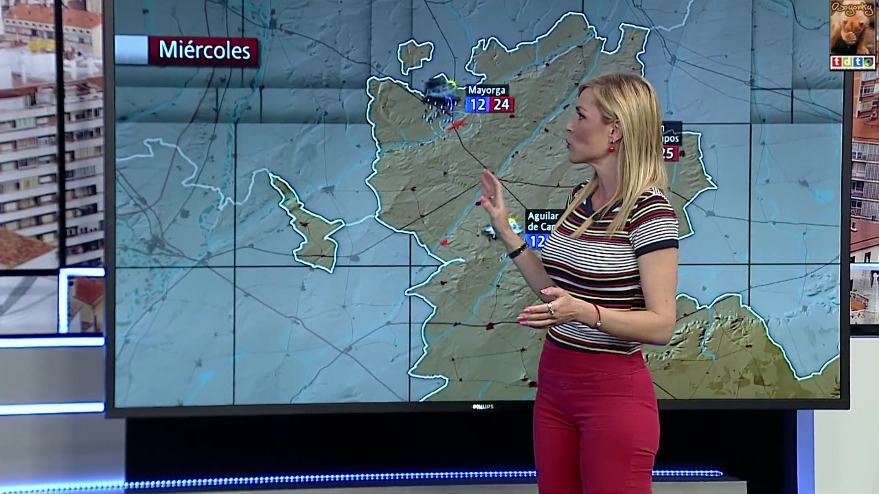 becariavariosdias5_oso3ww