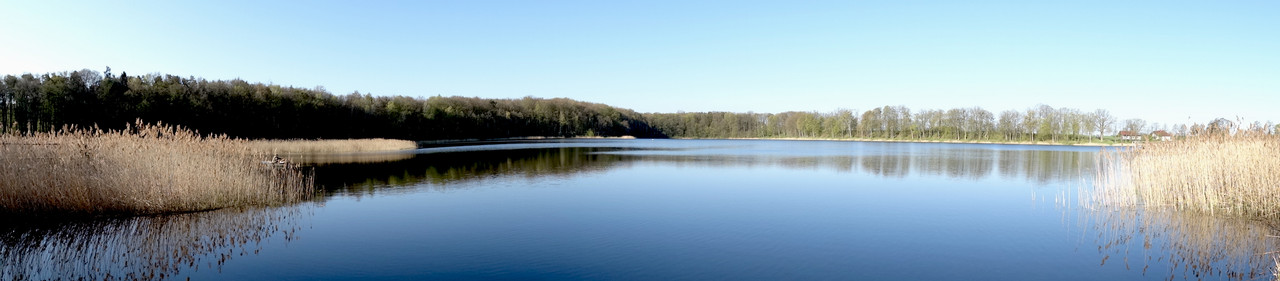 01.23 - DSC06753 (Czesio1)