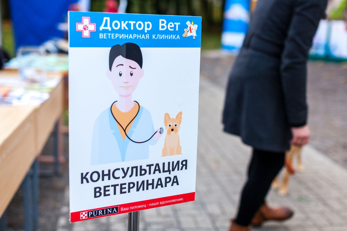 42FC3C00-76B5-47B7-ABAB-3AC02D32B077