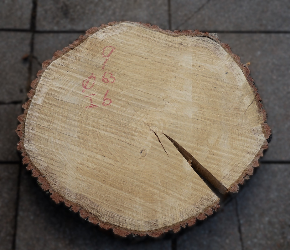 Eiken boomstamschijf 9