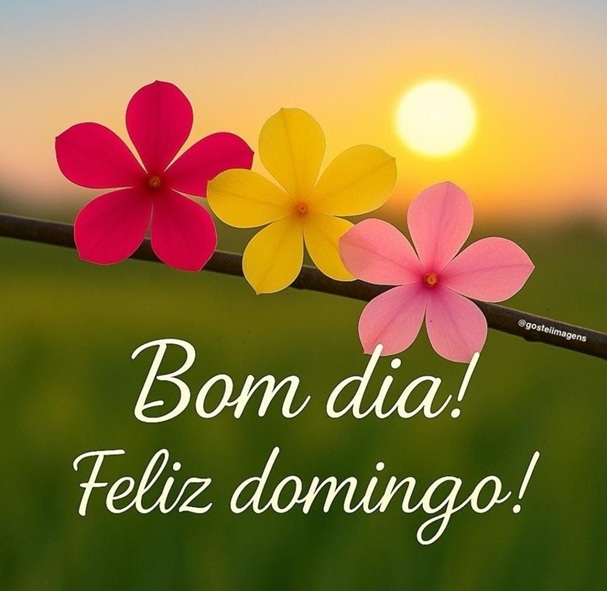 da18925fb73b357662d12af498451b47