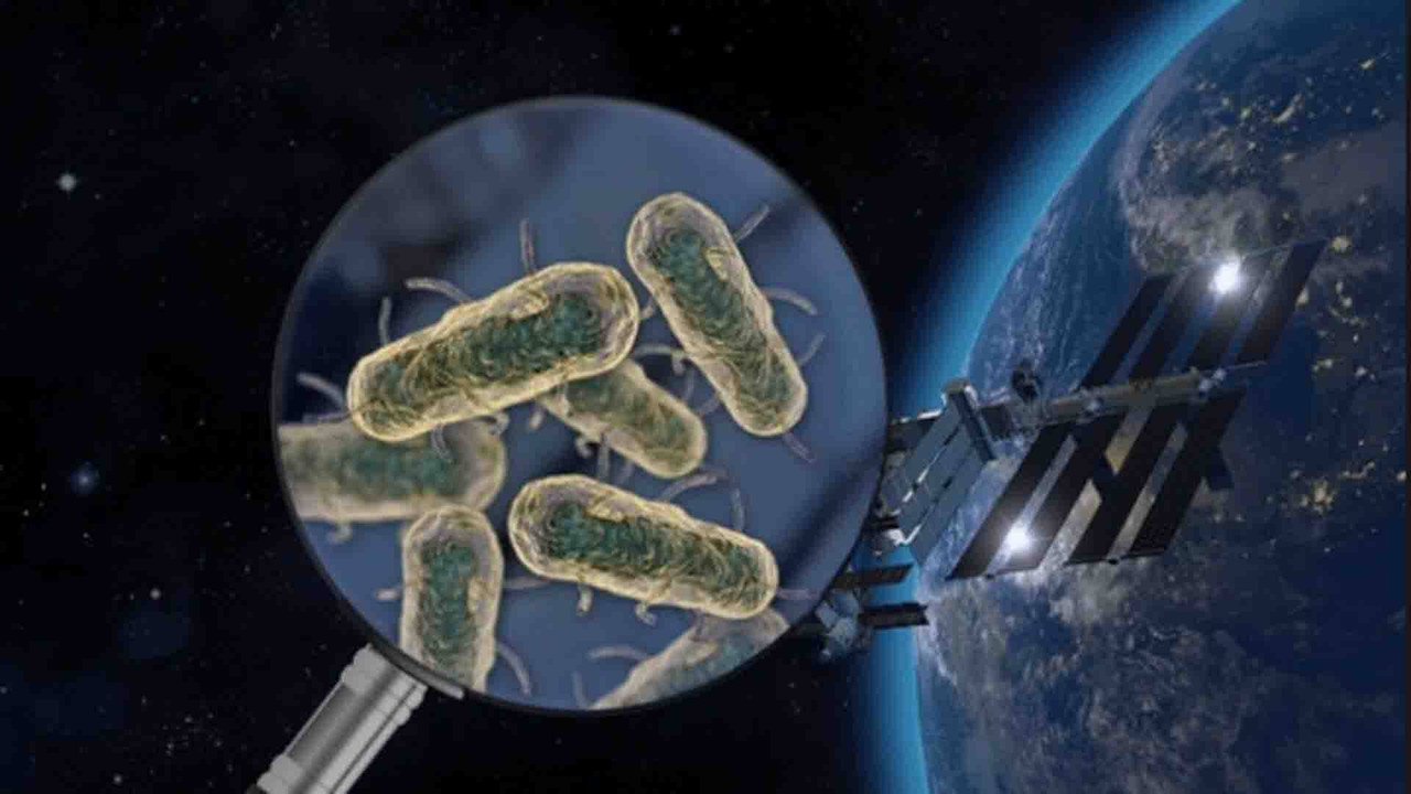 Las bacterias extraterrestres podrían provocar la extinción humana en la Tierra