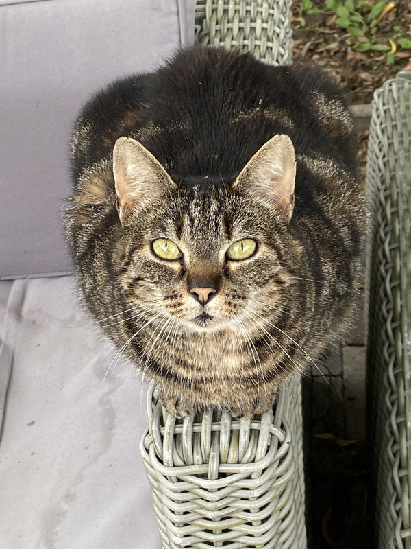 87ACE59B-BE81-4A6E-844D-6936B0BC2BC1