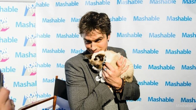 ian-somerhalder-grumpy-cat-sxsw-2