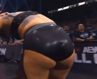 stackedlander3.gif