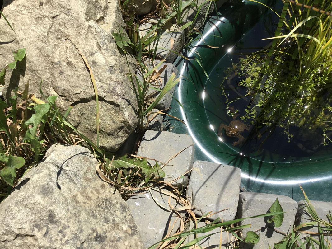 BCD306A9-F761-46F5-AEBE-21771152EE42