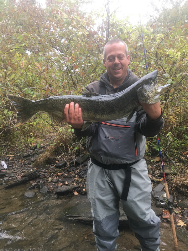 E02DE040-FC9A-4D52-B8A8-567253CDADB0