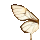 butterfly wing left