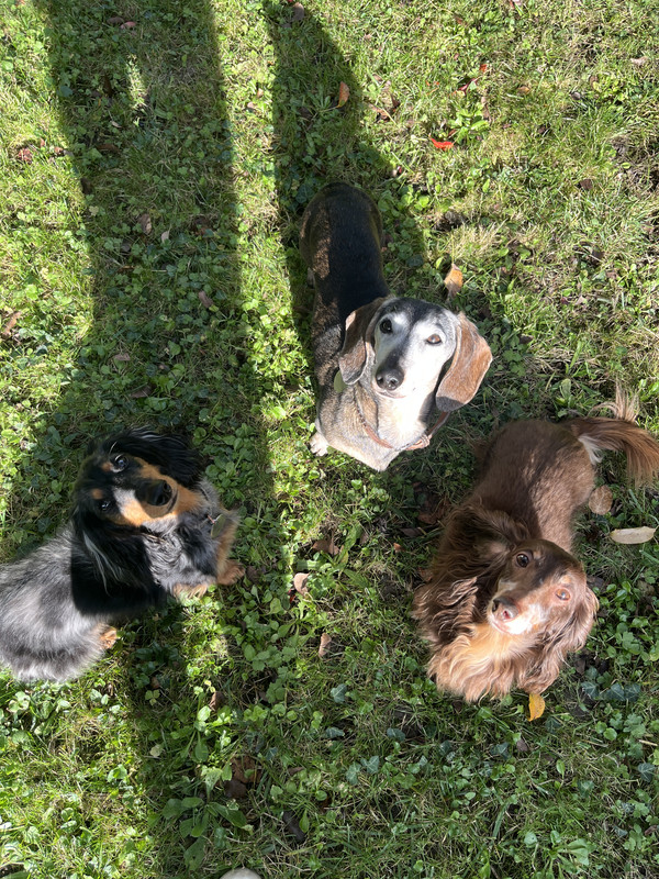 [Image: IMG-6199.jpg]