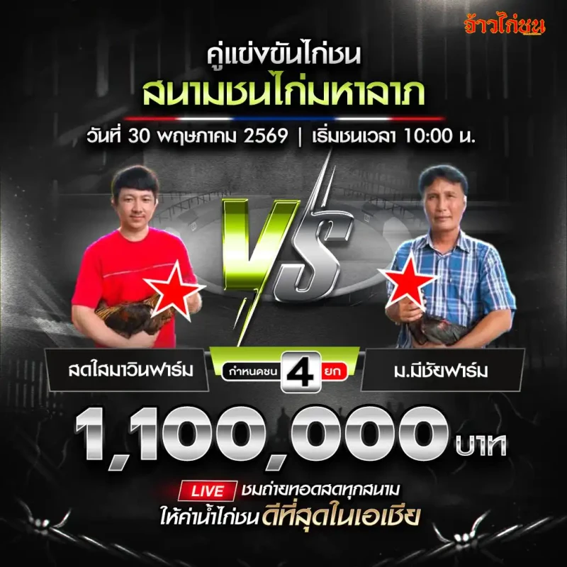 สดใสมาวินฟาร์ม พบ ม.มีชัยฟาร์ม สนามชนไก่มหาลาภ 30 พฤษภาคม 2569