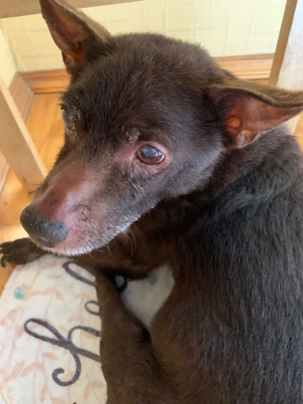 96AA167A-69A5-4026-A216-903B087D1B31