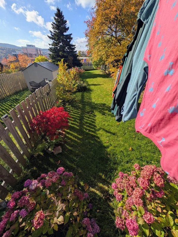 PXL 20251026 131413972 MP 2