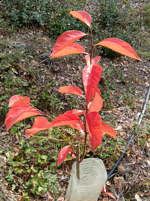 IMG 20261020 114551