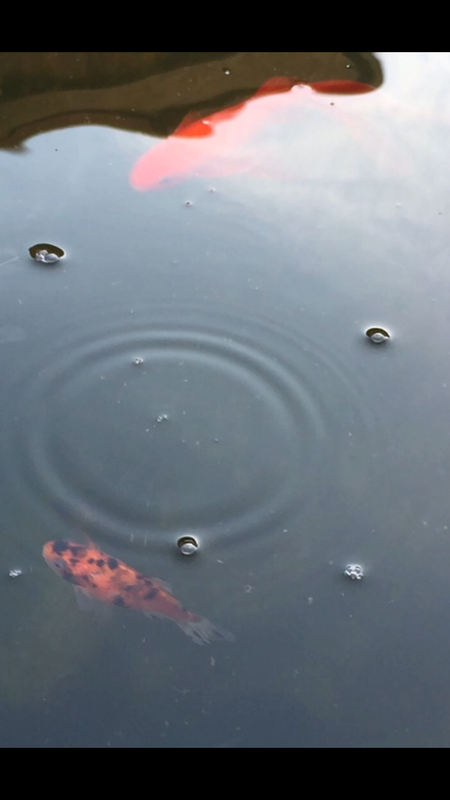 196B972E-AD74-4198-B345-018AEDFCE2F8