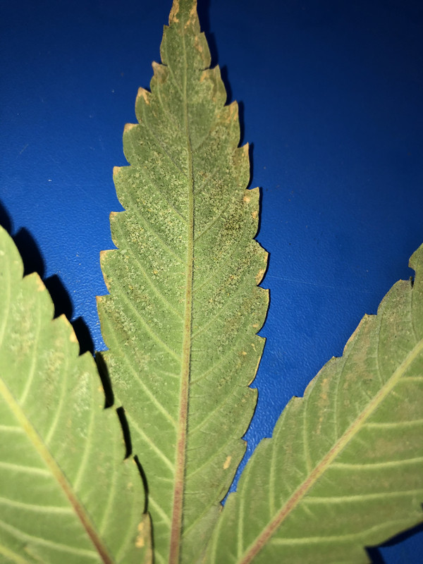 4E49F0DA-8626-4FA8-B008-EF0A09CE6C64