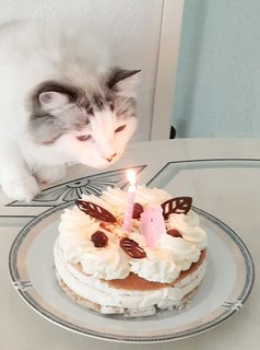 An den Beitrag angehängtes Bild: https://i.postimg.cc/hjKZg82h/30-08-2021-Dolly-2.jpg