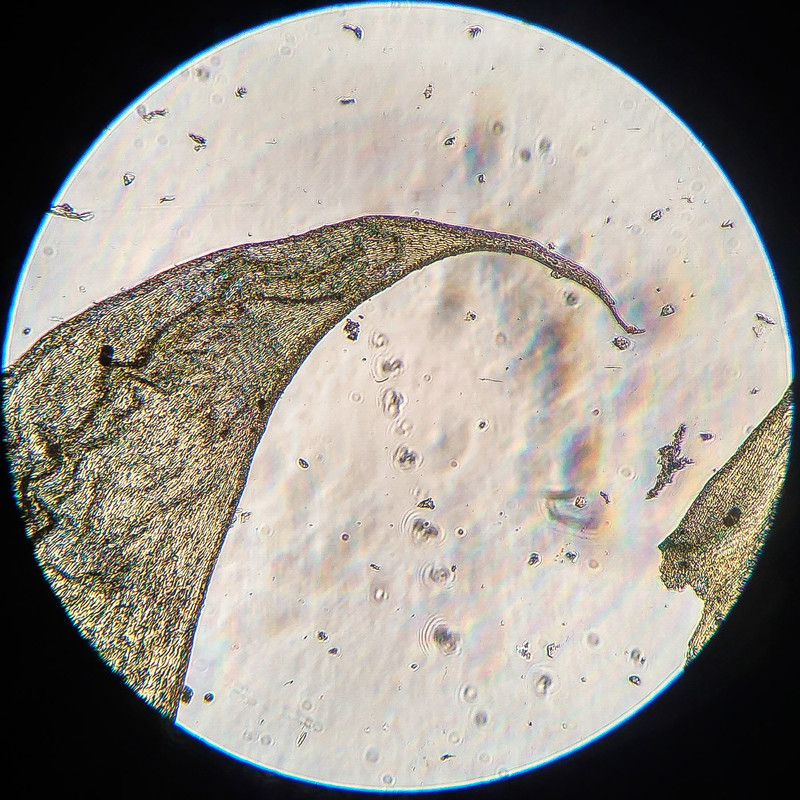 IMG 20250616 205550 HDR