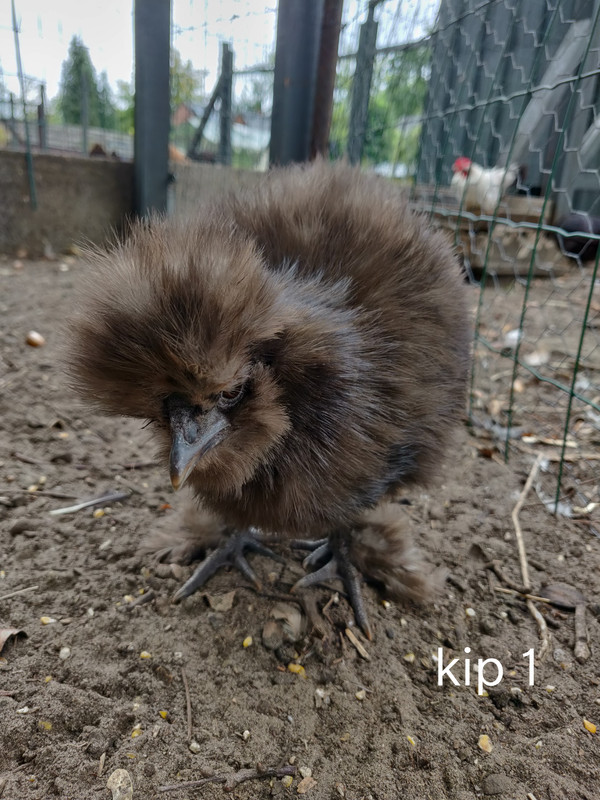 IMG_20190923_144153__01