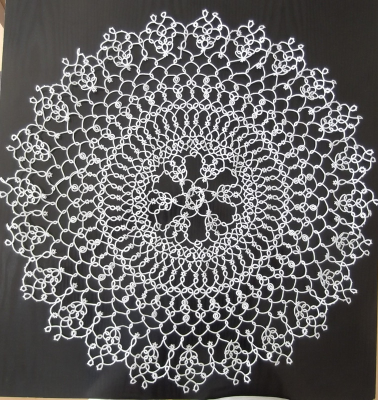 DSCF2086[1] Rząd 13