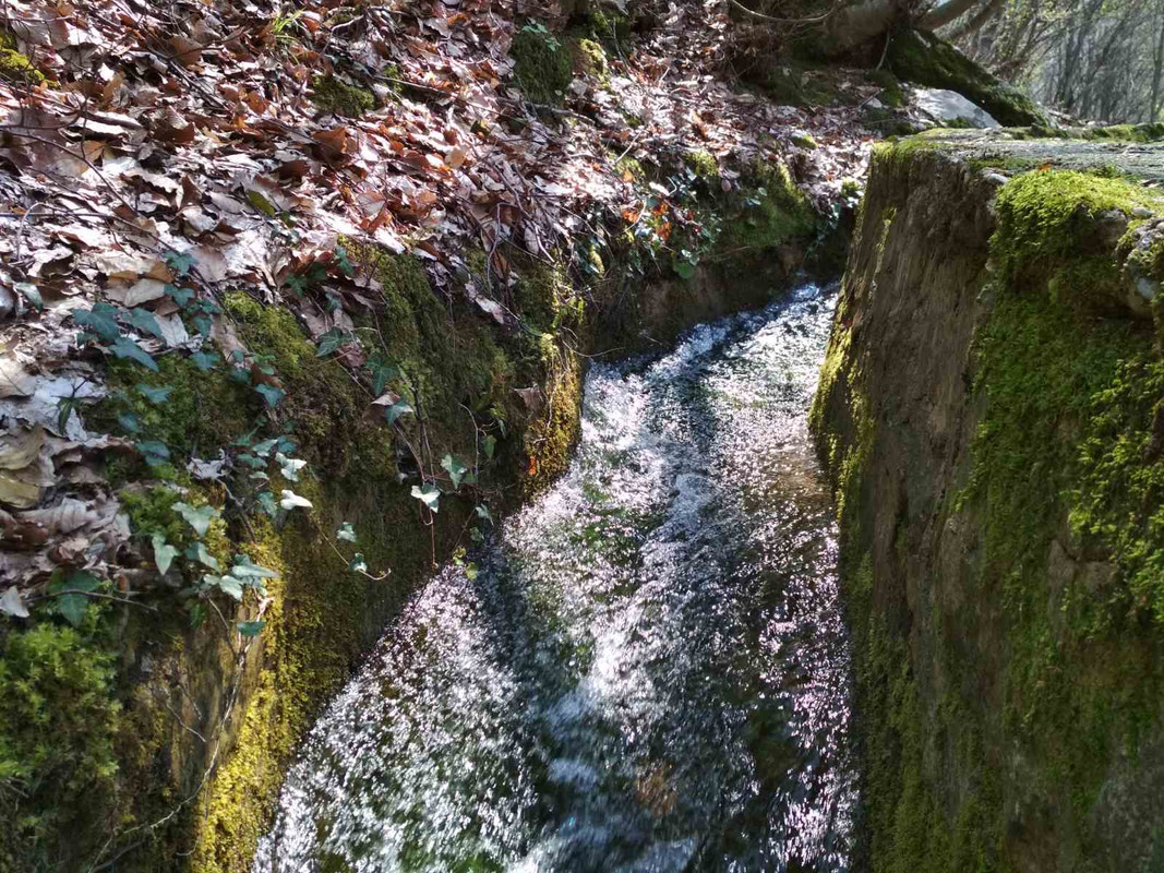 F2C8A3B1-AAF7-49A1-B851-F9A9177AFCDB