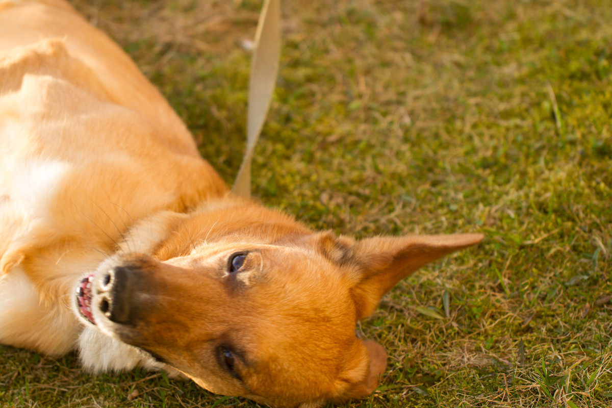 без имени-5338