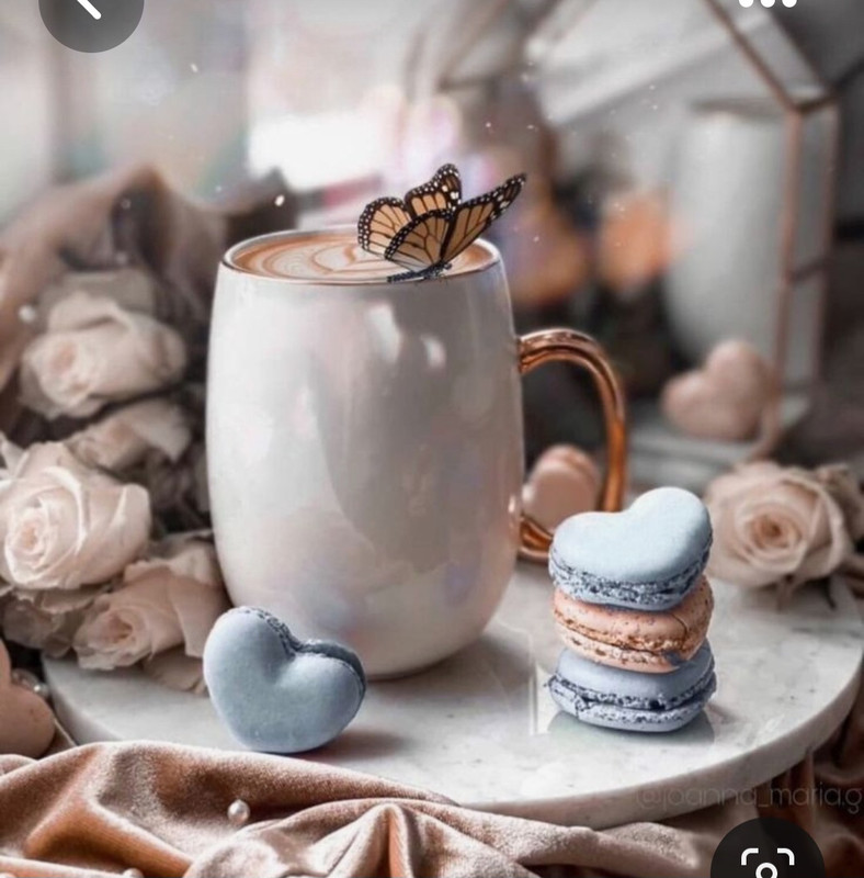 Screenshot_20230603_221613_Pinterest