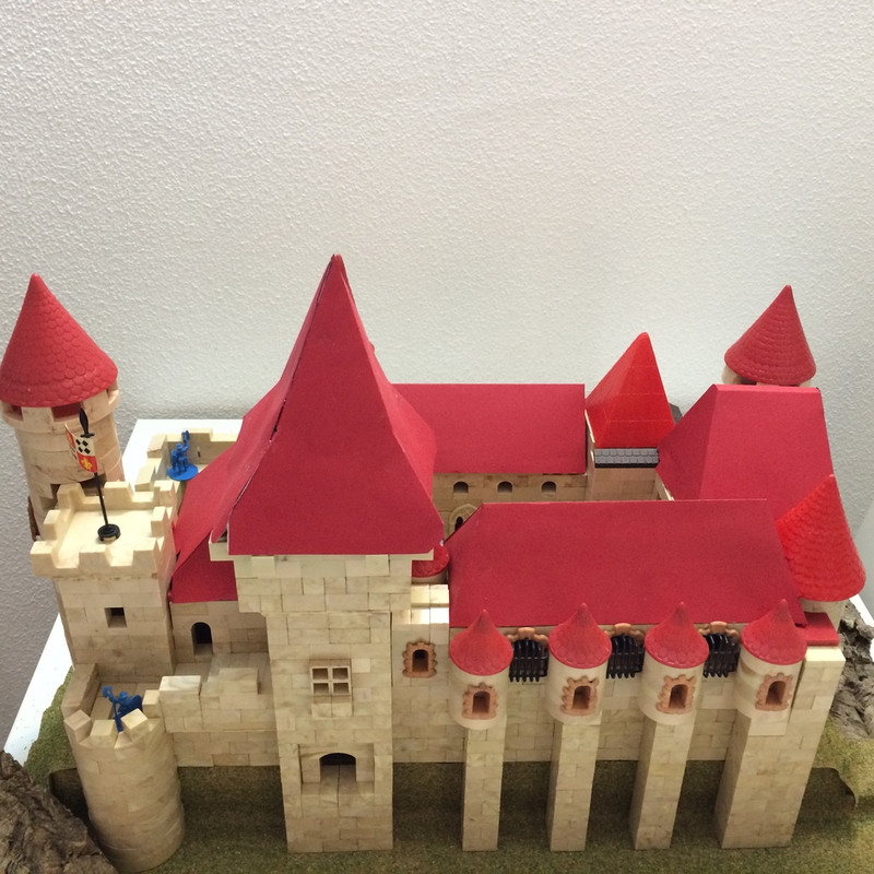 MICORVINO FRONTAL GENERAL