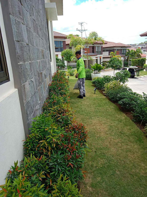 Landscaping Example 6