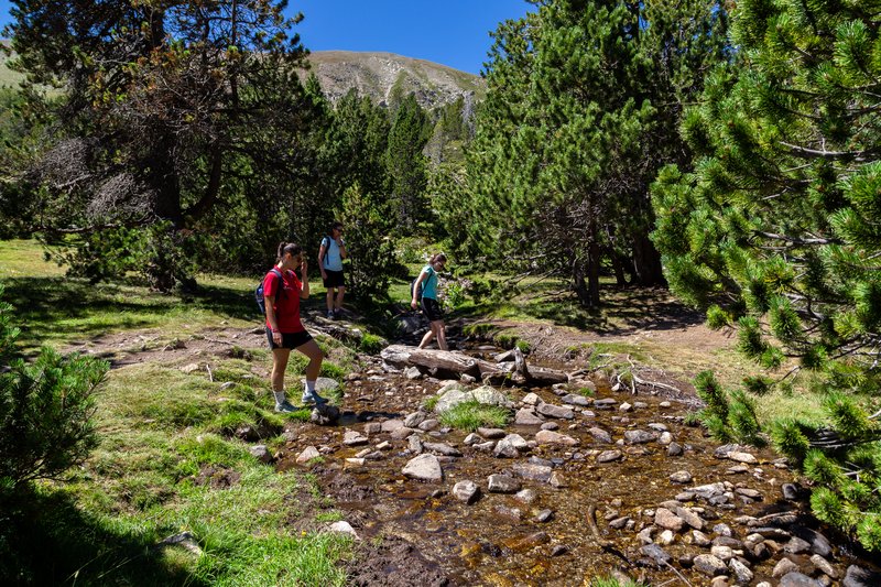 ESTANYS DE LA PERA - CERDANYA: ESTANYS MALNIU, LA PERA, BULLOSES (8)