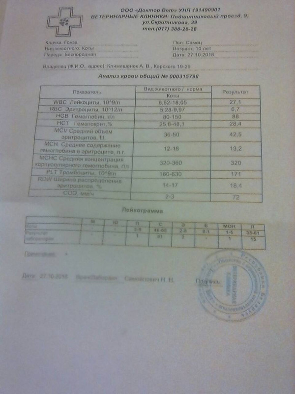 IMG-aafd39569bba7336898fe4a8bf2545f9-V