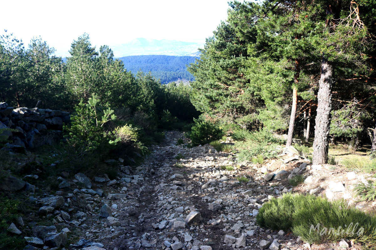 Peña del Arcipreste_10