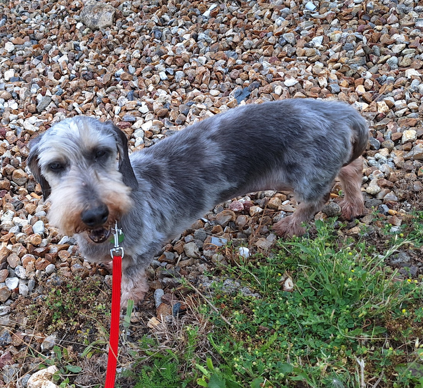 [Image: 20240719-155119.jpg]