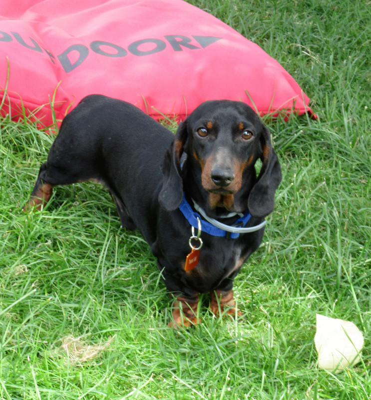 [Image: IMG-2645.jpg]