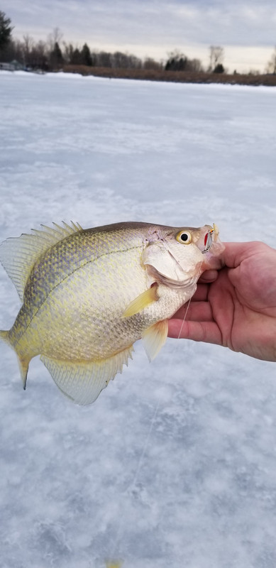 20190314_091840