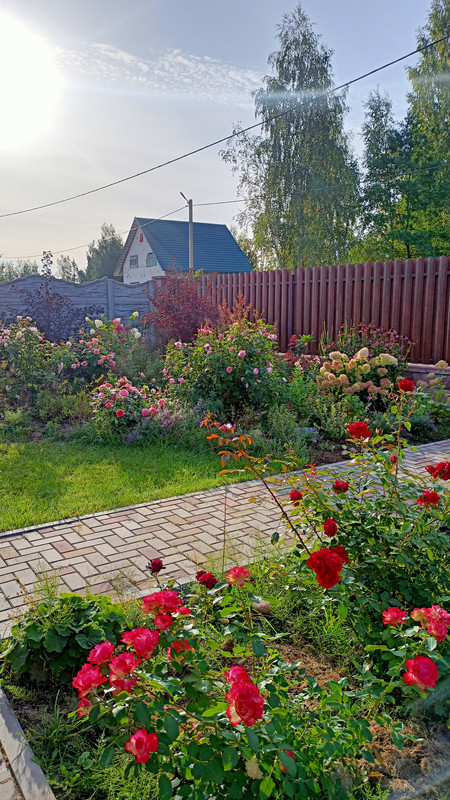 IMG20230909084129