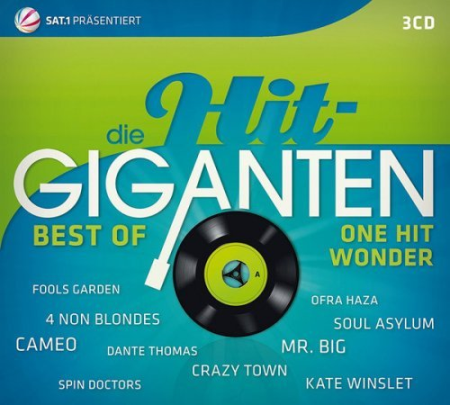 VA - Die Hit Giganten: Best Of One Hit Wonder (2013)