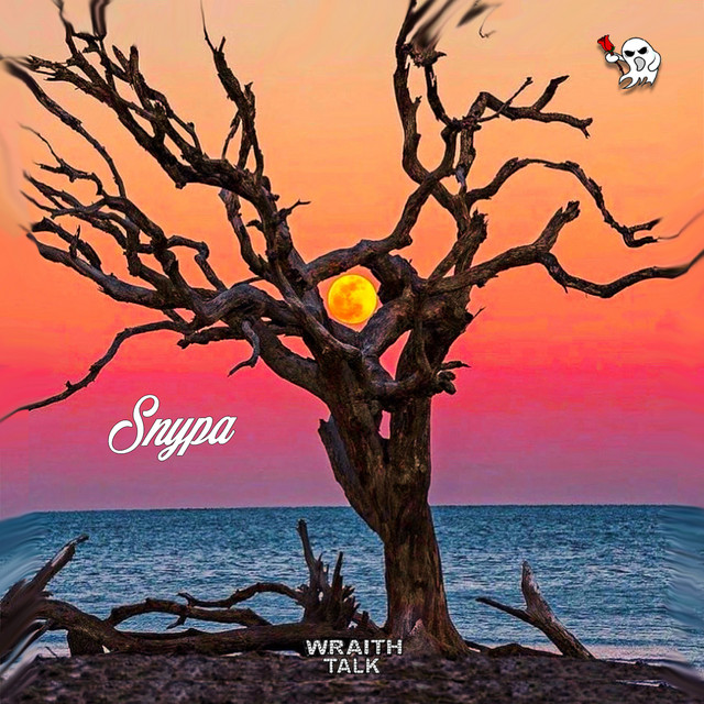 Snypa-Do-It-For-Mama-EP.jpg