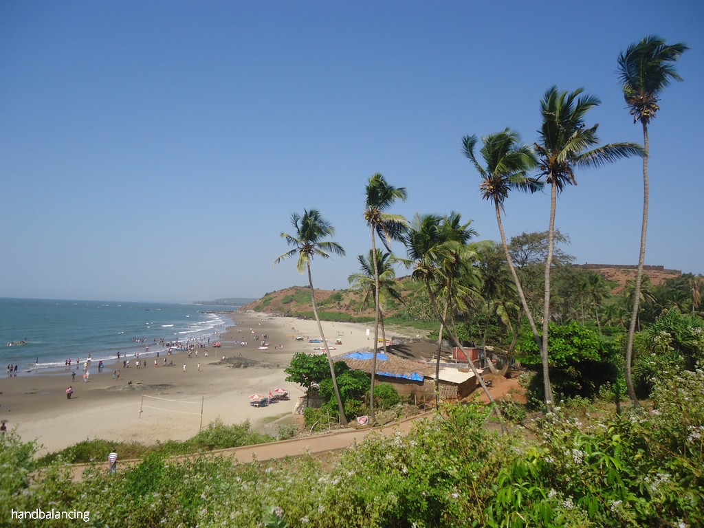 DSC05855