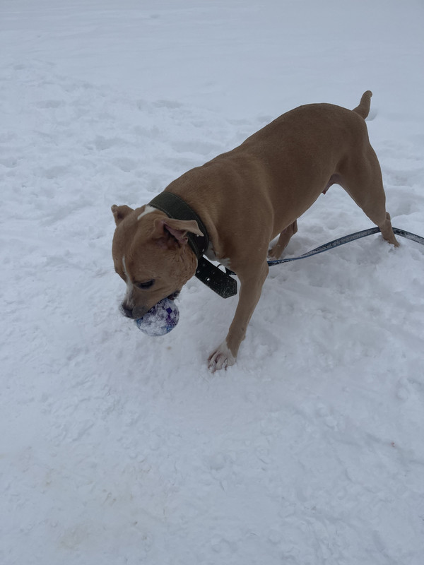 2DA29CAC-DF45-46C0-BACF-BEB01D7F0ECC