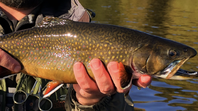 5CC6D486-B01E-4409-899B-9B59C5619287