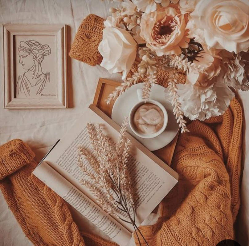 Screenshot_20240608_071123_Pinterest