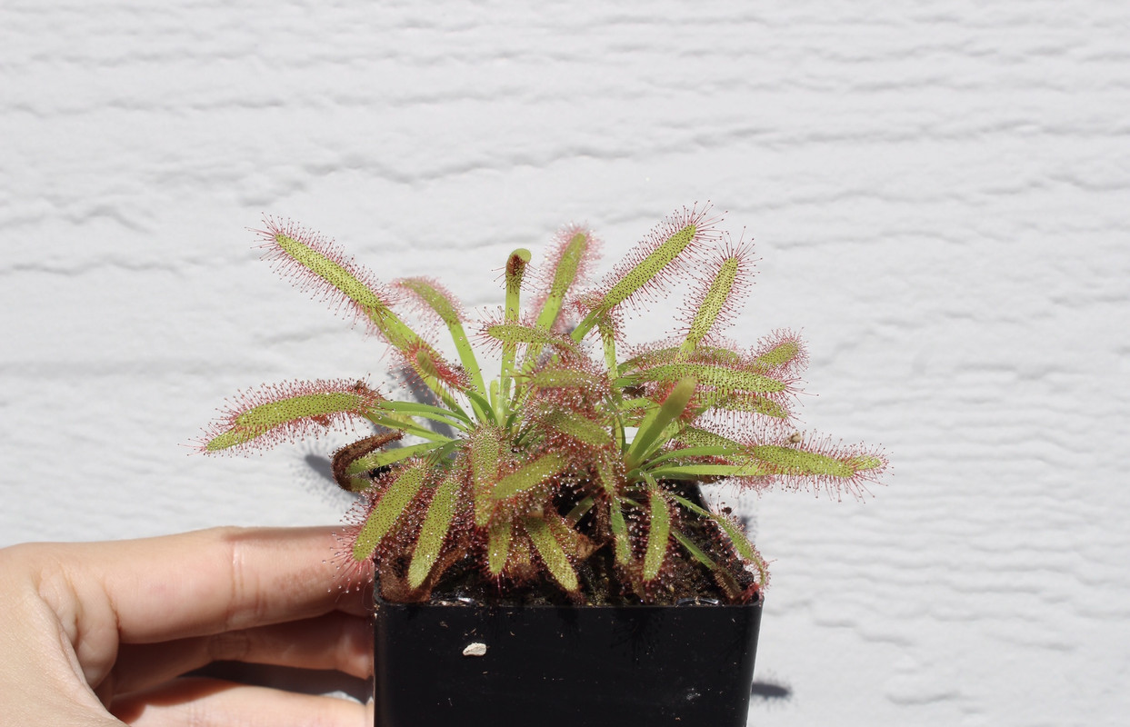 EA43C05C-AA91-4991-8777-03C79F8CFF19