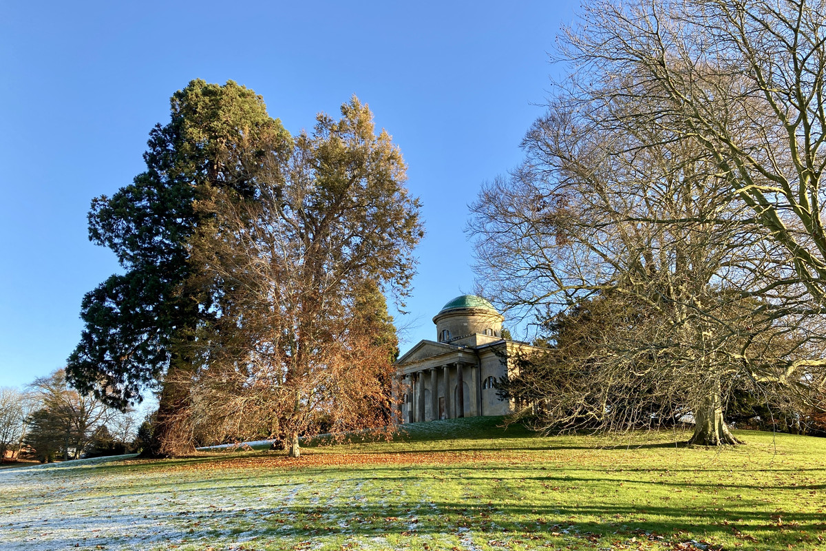 5546105A-3757-4C02-8DC5-BAE59DE7926A