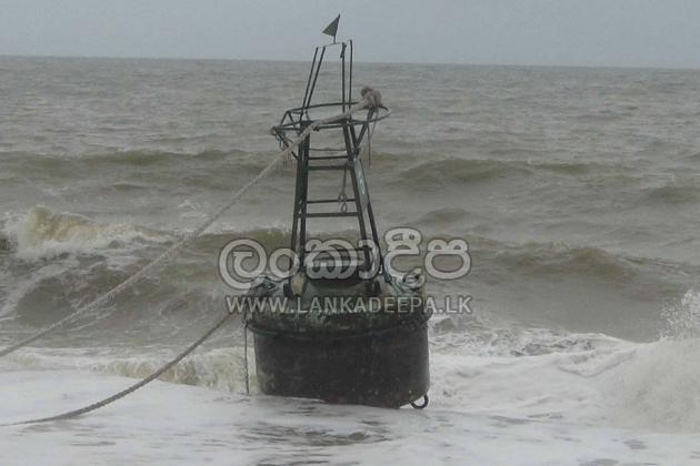 image-68a83dd8e3.jpg
