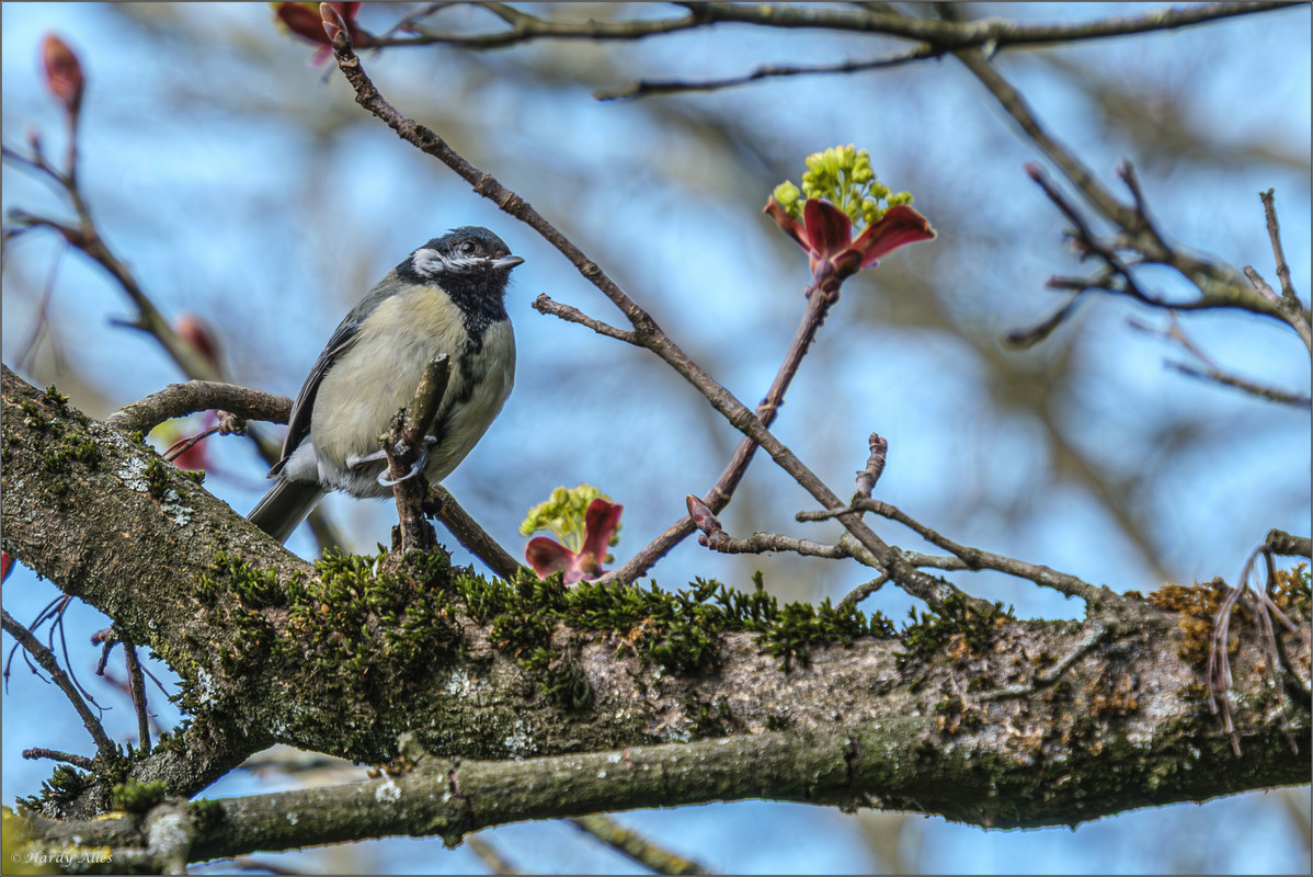 XT5A7098-Verbessert-RR 2025 Kirchberg 3 LR ERWZ FB