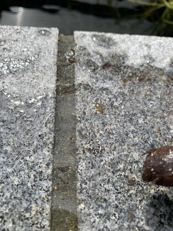 2DCAF989-65E4-43E8-9E6F-12C5FC9C9F8F