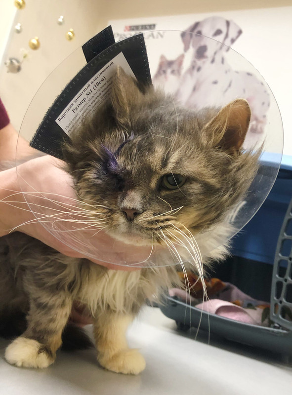 8372222C-8B9B-4E39-B023-609DE5469FE6